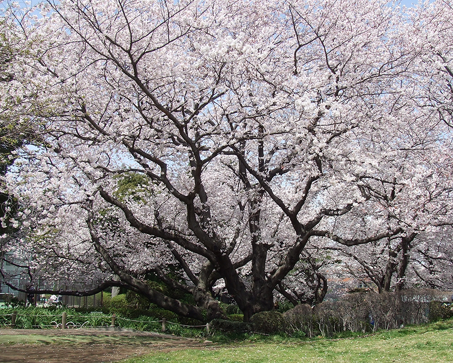 山手公園