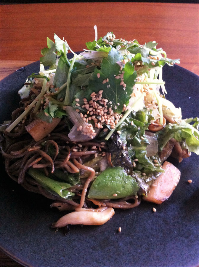 AOBADAI N_1221