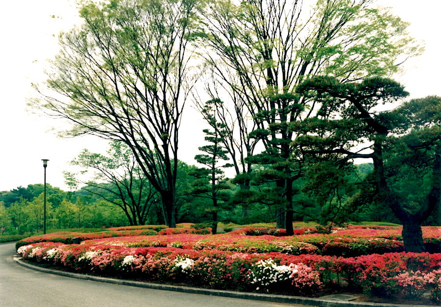 皇居東御苑