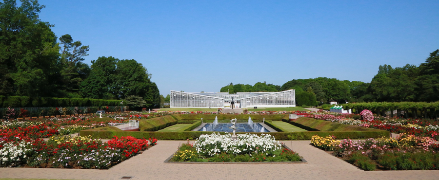 神代植物公園