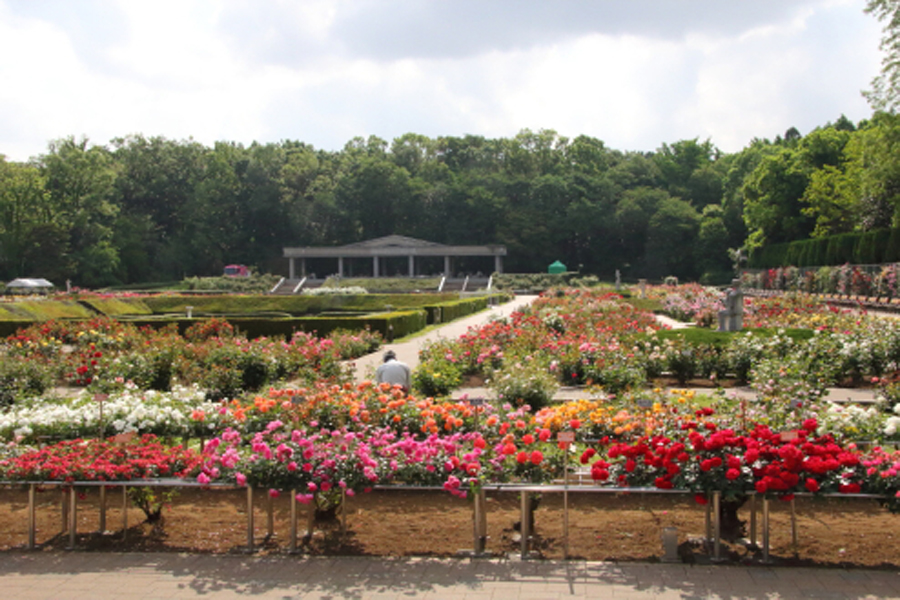 神代植物公園