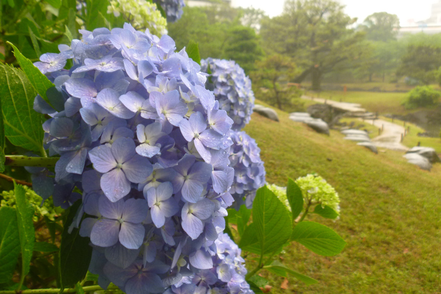 旧芝離宮恩賜庭園
