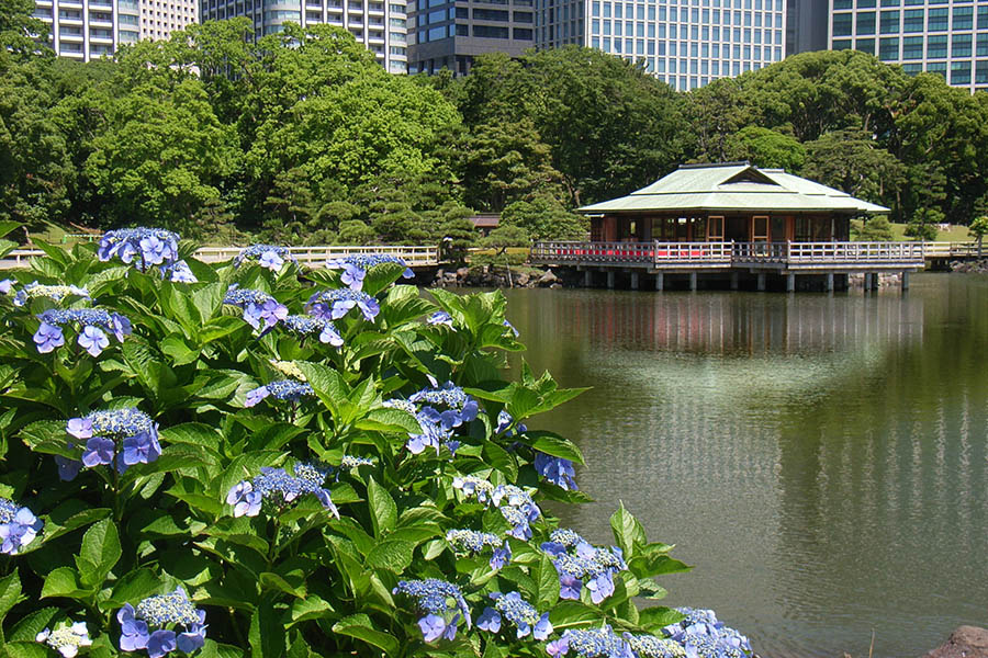 浜離宮恩賜庭園