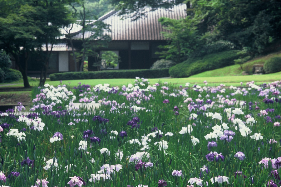 明月院