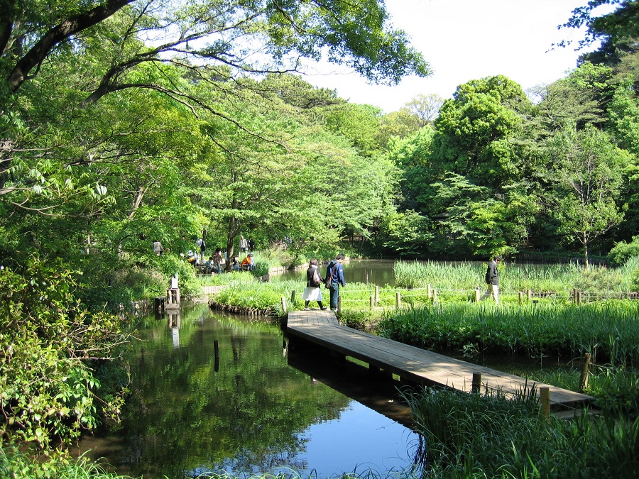 国立科学博物館 附属自然教育園