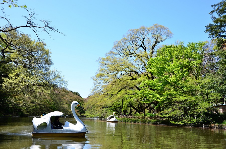 井の頭恩賜公園