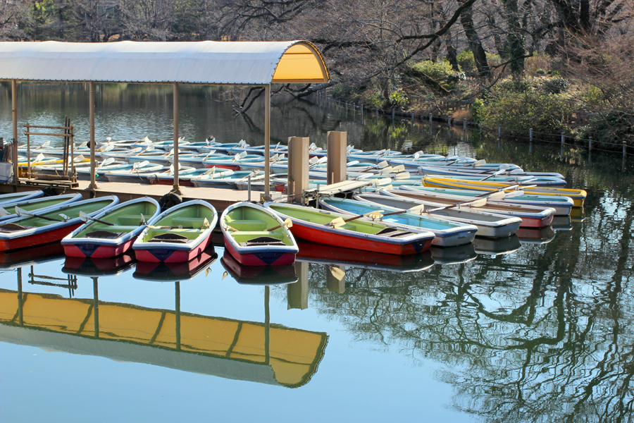 癒し度200 東京のオススメ公園デートまとめ レッツエンジョイ東京