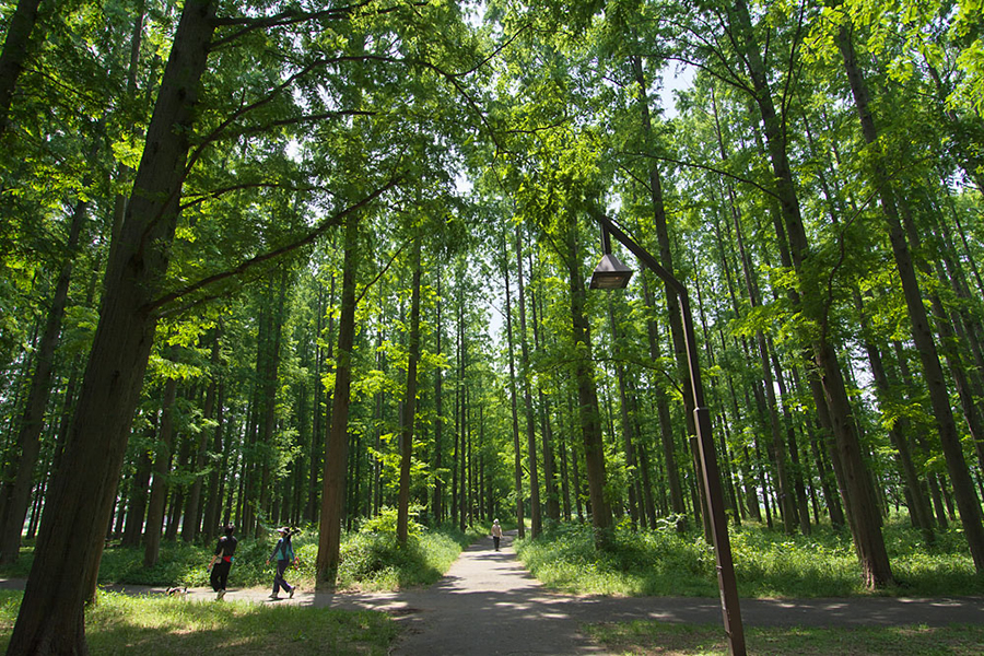 癒し度0 東京のオススメ公園デートまとめ レッツエンジョイ東京