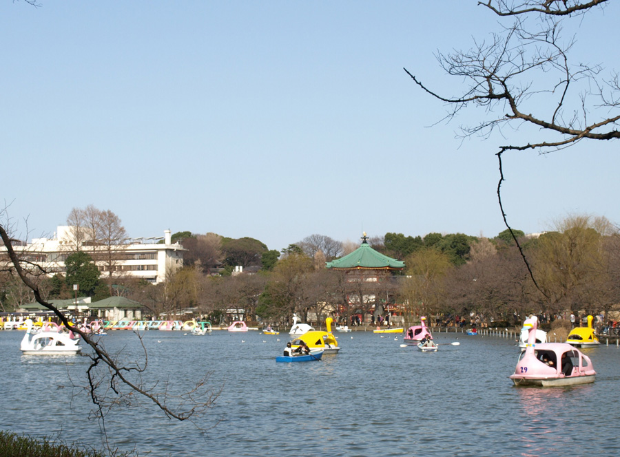 野恩賜公園池