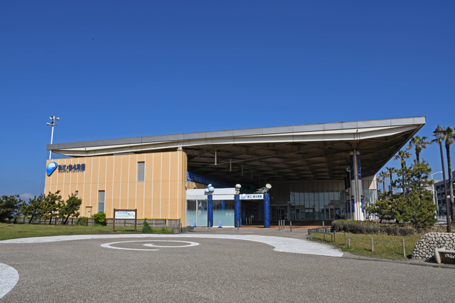 新江ノ島水族館