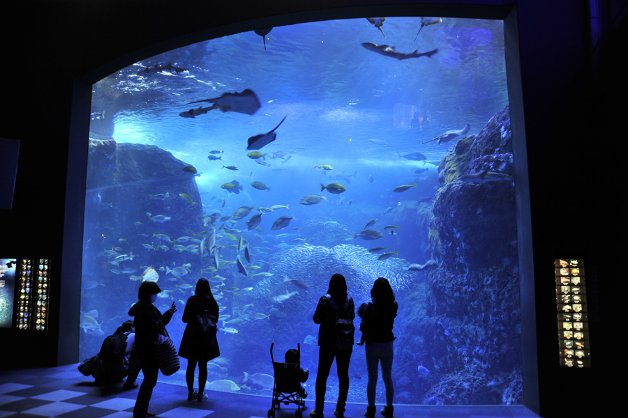 新江ノ島水族館