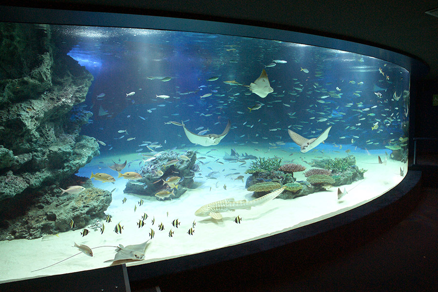 サンシャイン水族館 館内