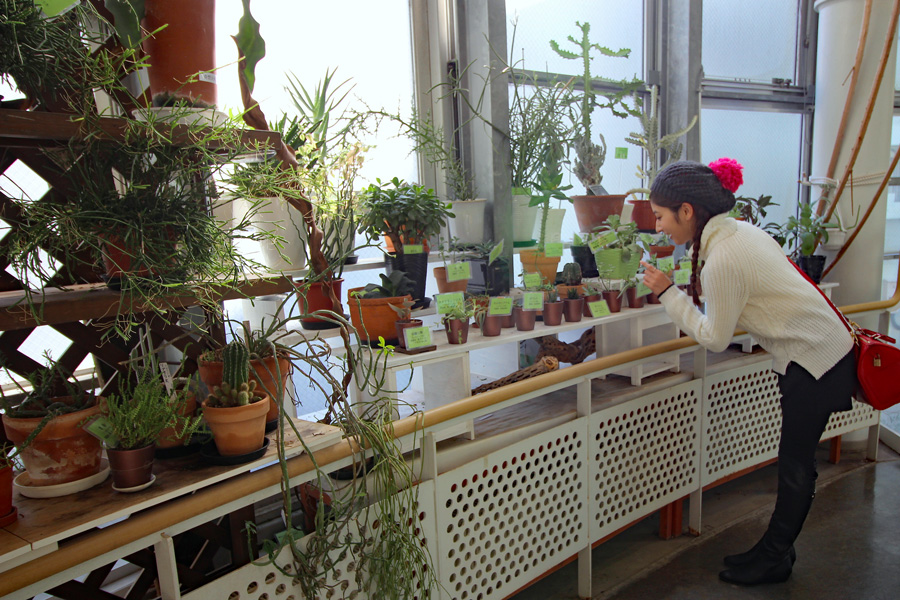 渋谷区ふれあい植物センター