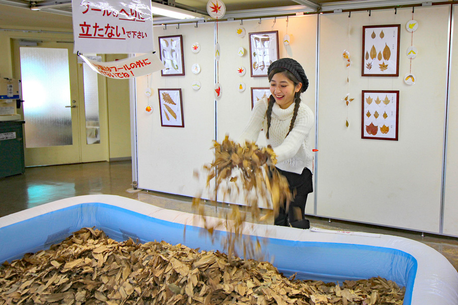 渋谷区ふれあい植物センター