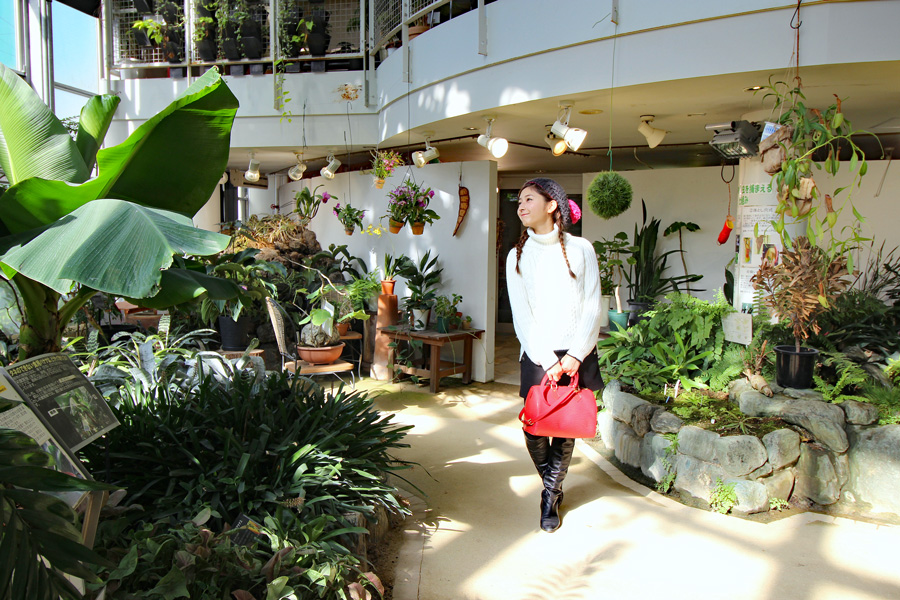 渋谷区ふれあい植物センター