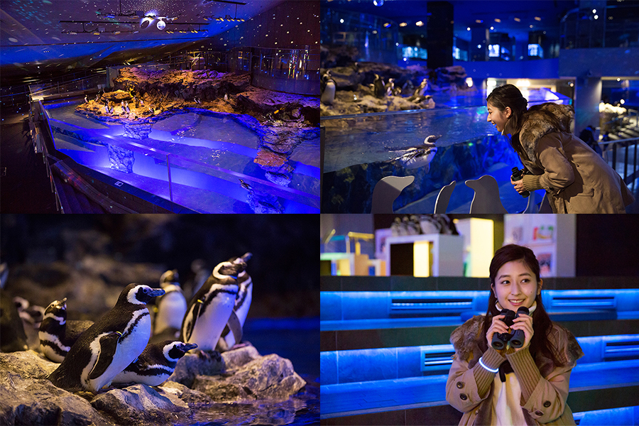 すみだ水族館
