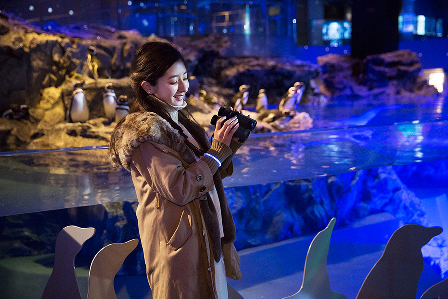 すみだ水族館 双眼鏡