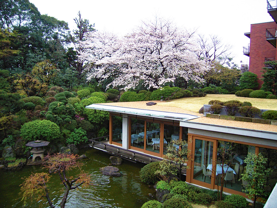 レストランSAKURA庭園