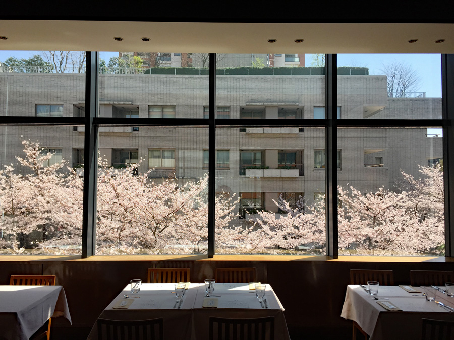 アーブルヴィラージュ店内