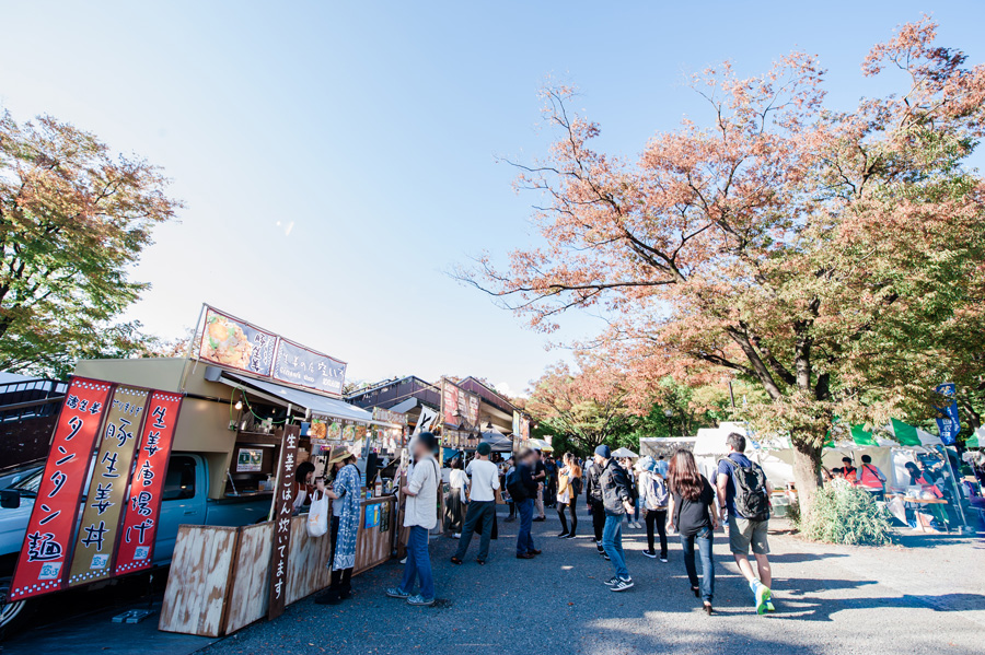 earth garden 秋 2019
