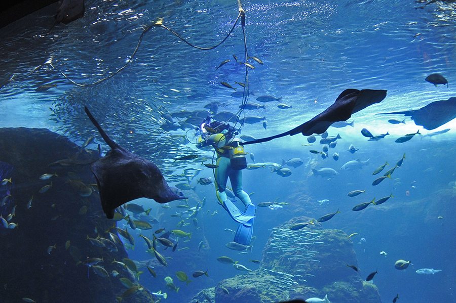 新江ノ島水族館