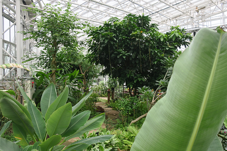 神代植物公園