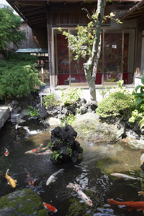 タカラ湯 池