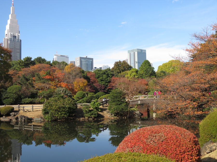 秋中の池