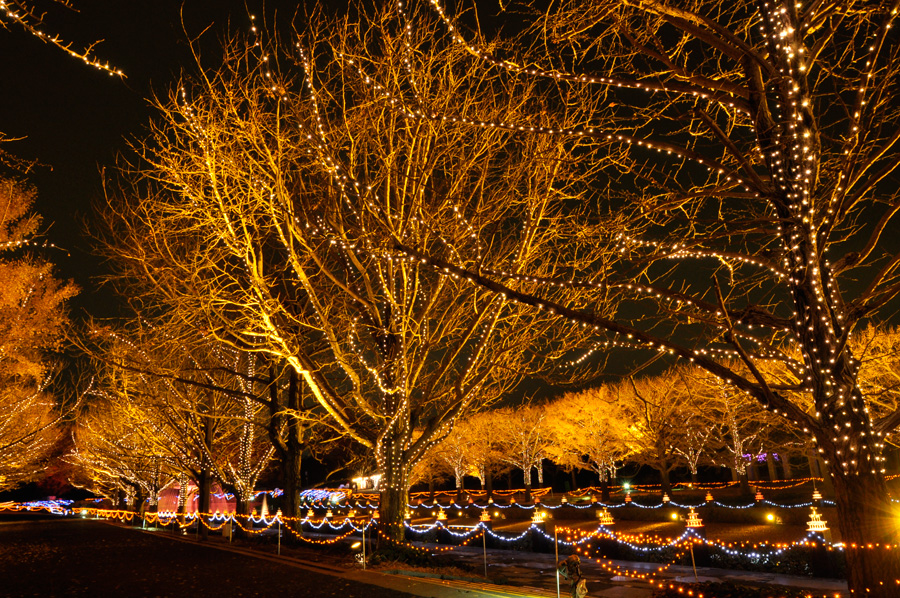 Winter Vista Illumination