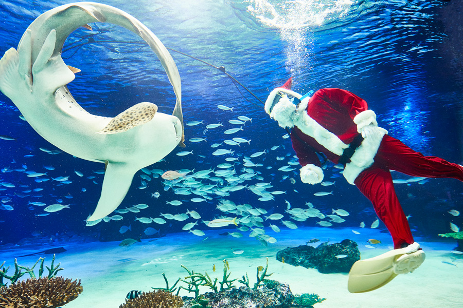 サンシャイン水族館