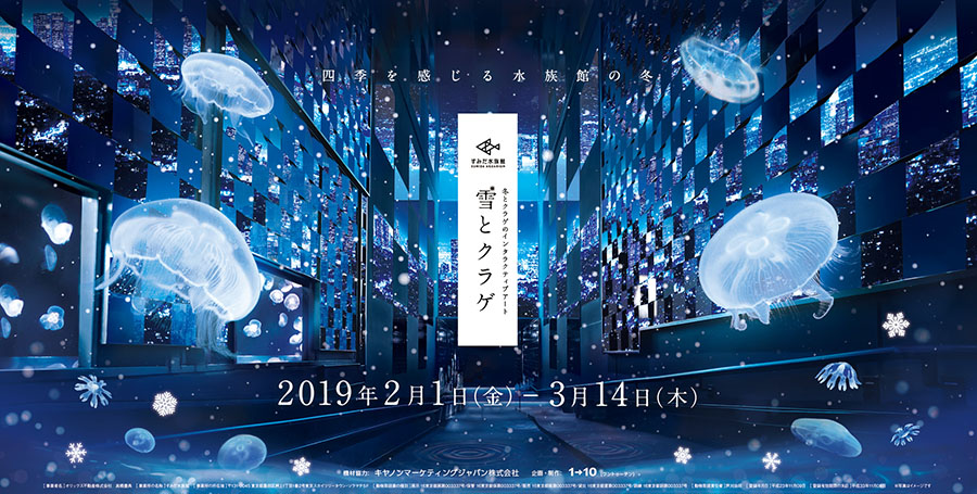 雪とクラゲ