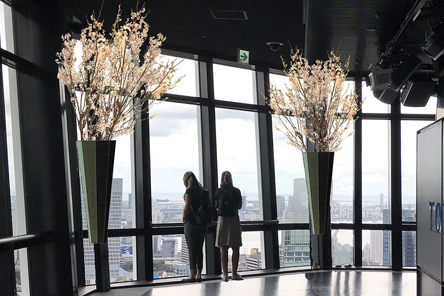 東京タワーお花見デッキ