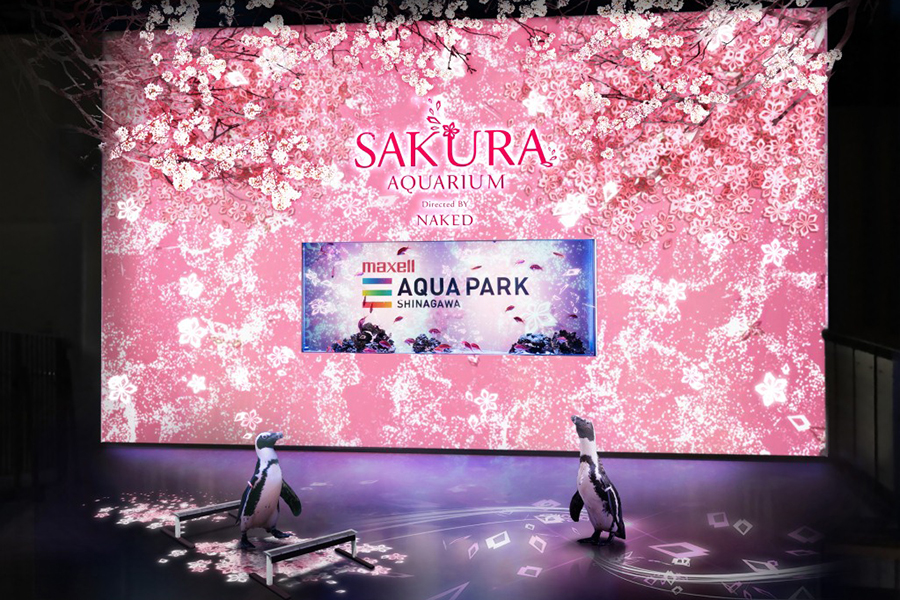 SAKURA AQUARIUM Directed BY NAKED「ペンギン」