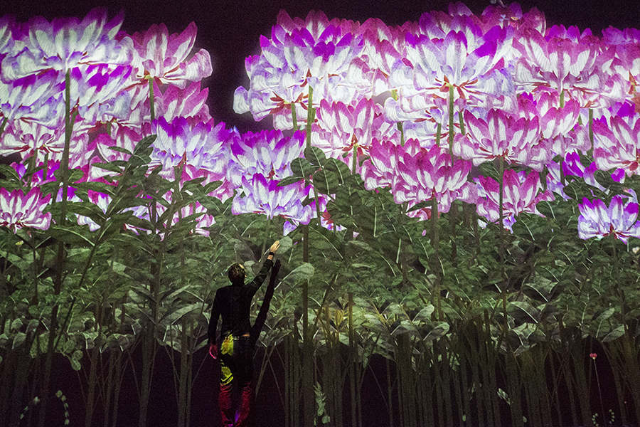 MORI Building DIGITAL ART MUSEUM: EPSON teamLab Borderless 花の精霊