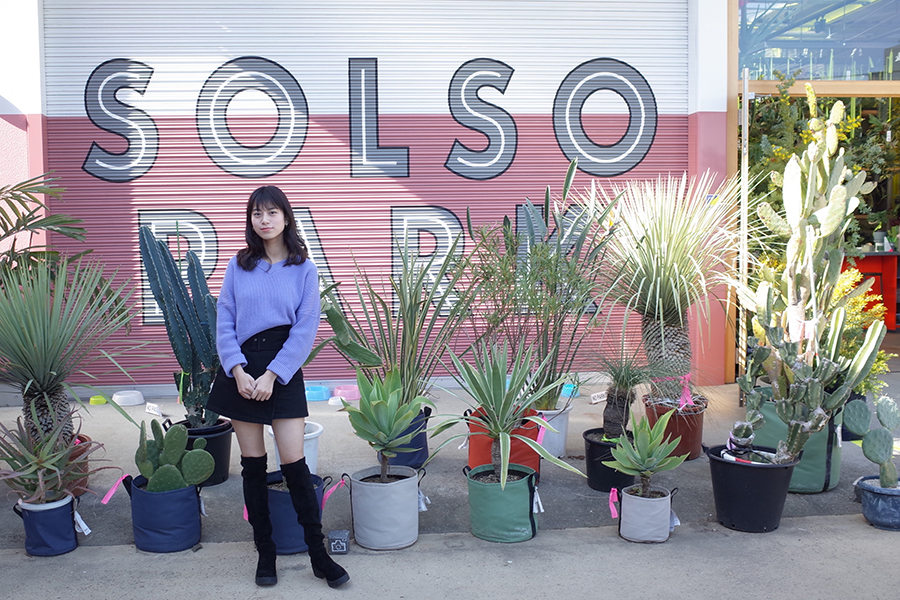 SOLSO PARK