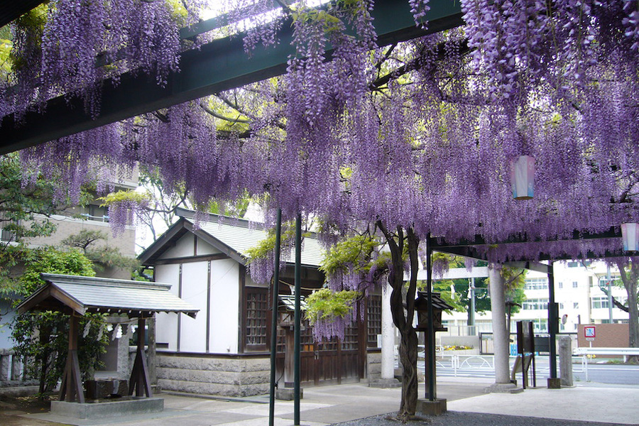 國領神社