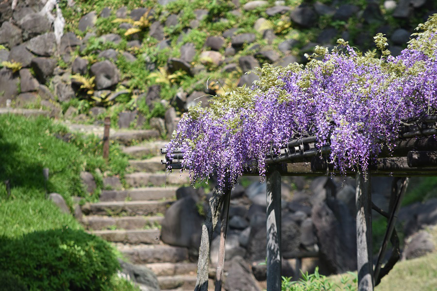 小石川後楽園