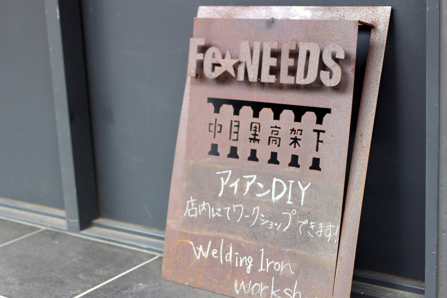 FeNEEDS