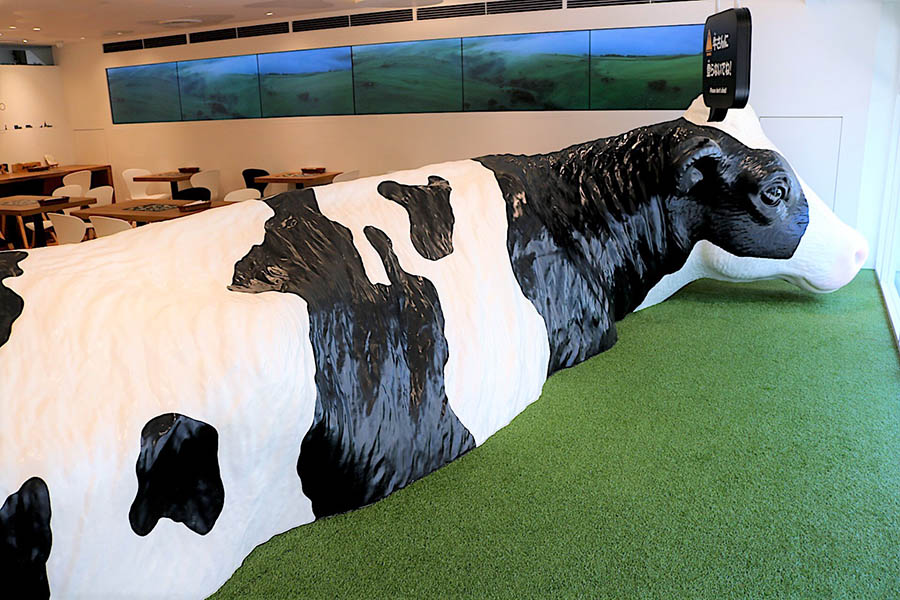 MILKLAND HOKKAIDO → TOKYO 芝生スペース