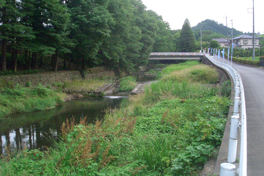 青梅市成木