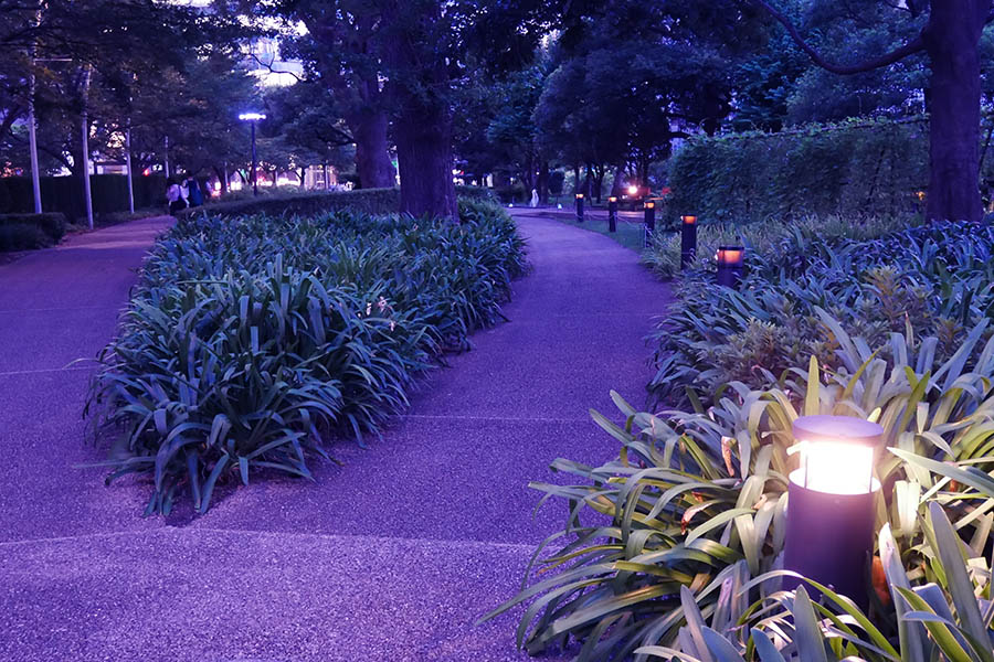 東京ミッドタウン
