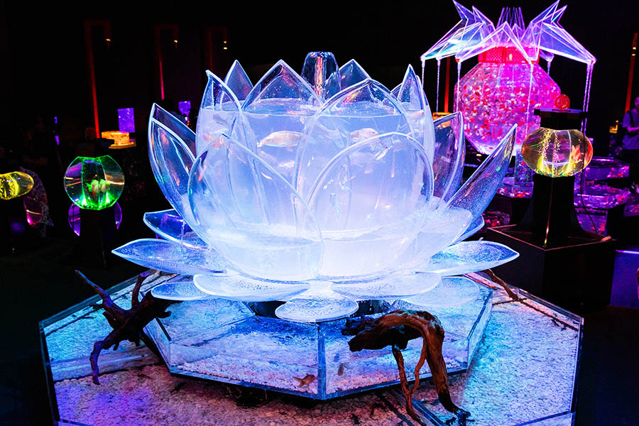 ECO EDO 日本橋 アートアクアリウム 2019「ロータスリウム」