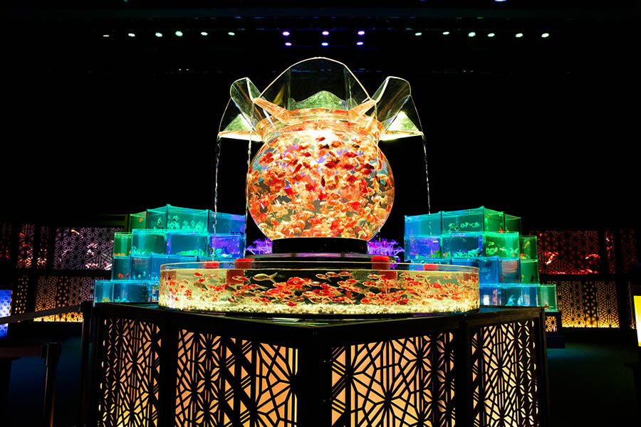 ECO EDO 日本橋 アートアクアリウム 2019「花魁」