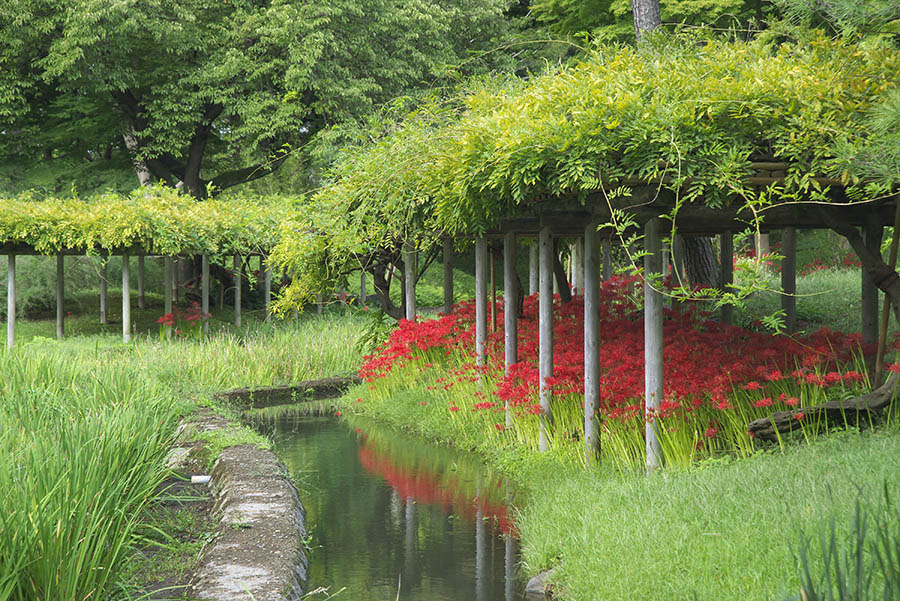 小石川後楽園