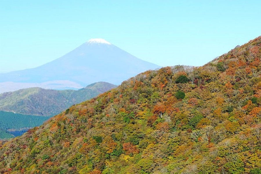 箱根 駒ヶ岳ロープウェー
