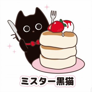 ミスター黒猫さん