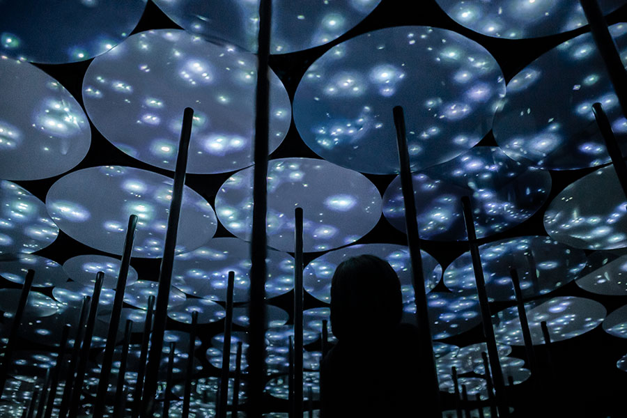 MORI Building DIGITAL ART MUSEUM: EPSON teamLab Borderless「ボーダレスワールド」