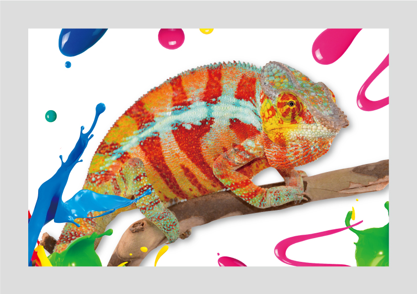サンシャイン水族館 特別展「いきもの×光×色=イキモノアート展」