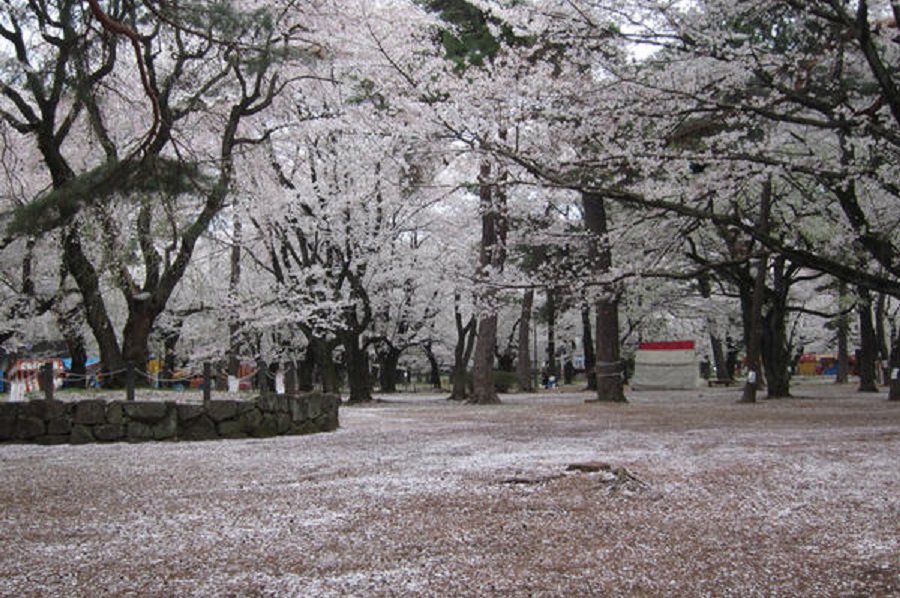 大宮公園