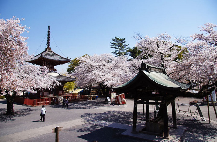 川越大師喜多院